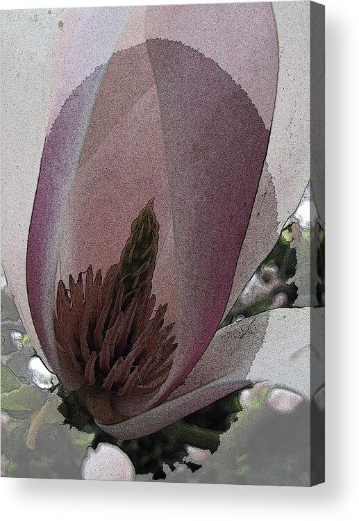 Petal Acrylic Print featuring the digital art Petal Prose by Tim Allen