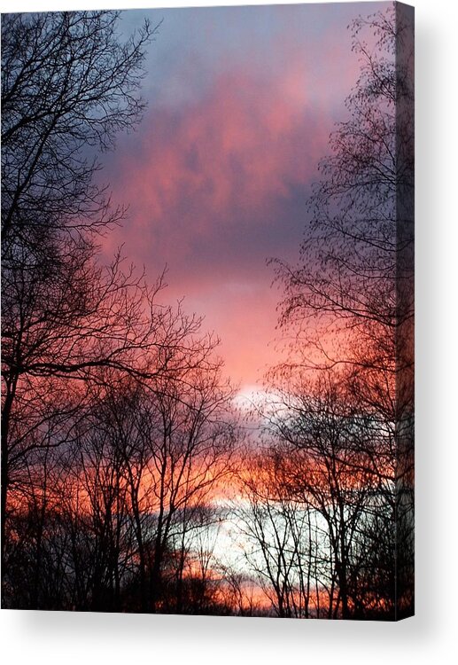 Pink Acrylic Print featuring the photograph Pink Forever by Kim Galluzzo Wozniak