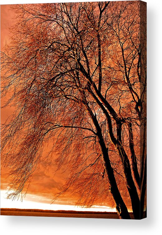 Canada Acrylic Print featuring the photograph Powerful Morning ... by Juergen Weiss