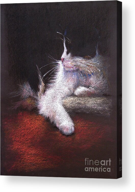 Cat Acrylic Print featuring the drawing Regal Watch by Shelley Schoenherr