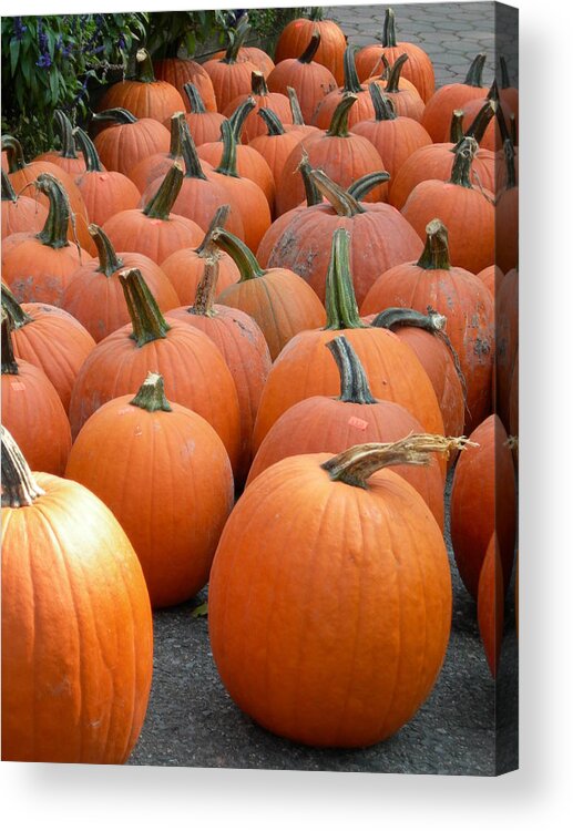 Pumpkins Acrylic Print featuring the photograph Rustic Acres I by Sheila Rodgers