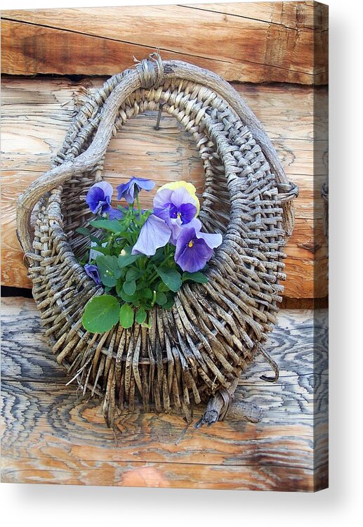 Pansies Acrylic Print featuring the photograph Rustic by Susan Saver