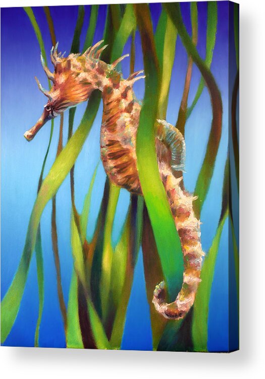 This Is An Oil Painting Portrait Of The Seahorse Among The Reeds On A Smooth Graduated Blue Background. This Painting Is One Of A Set. Inspiration For This Painting Came From Visiting Several City Aquariums. Acrylic Print featuring the painting Seahorse II among the Reeds by Nancy Tilles