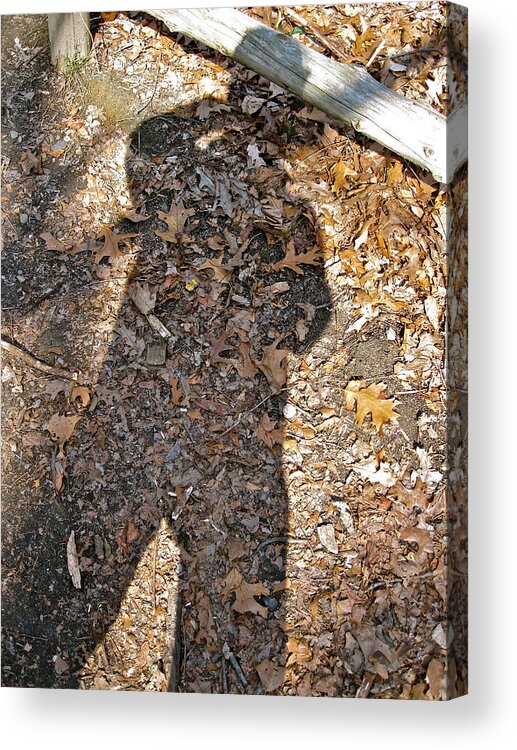 Shadows Acrylic Print featuring the photograph Shadows - SD1 by Felix Zapata