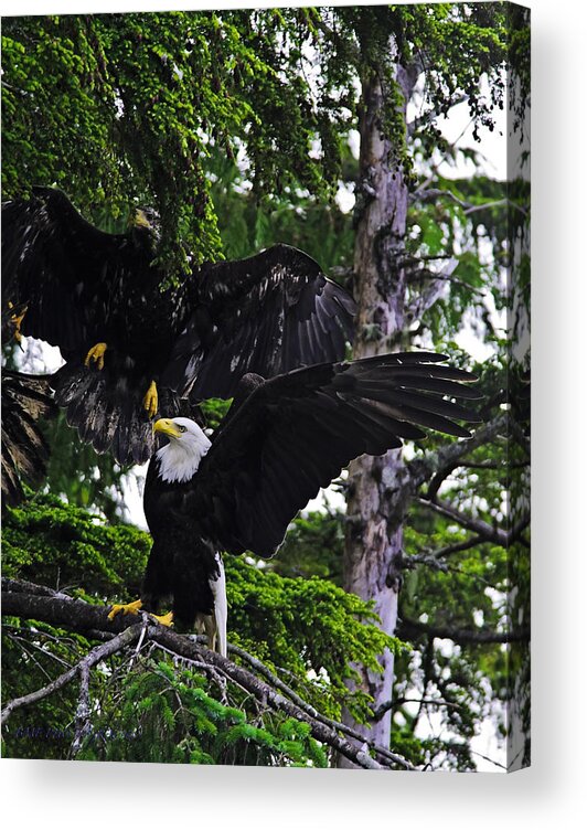 Nature Acrylic Print featuring the photograph Standing strong. by Edward Kovalsky