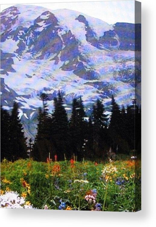 The Grand Tetons In The Spring Acrylic Print featuring the photograph The Grand Tetons in Jackson by Shawn Hughes