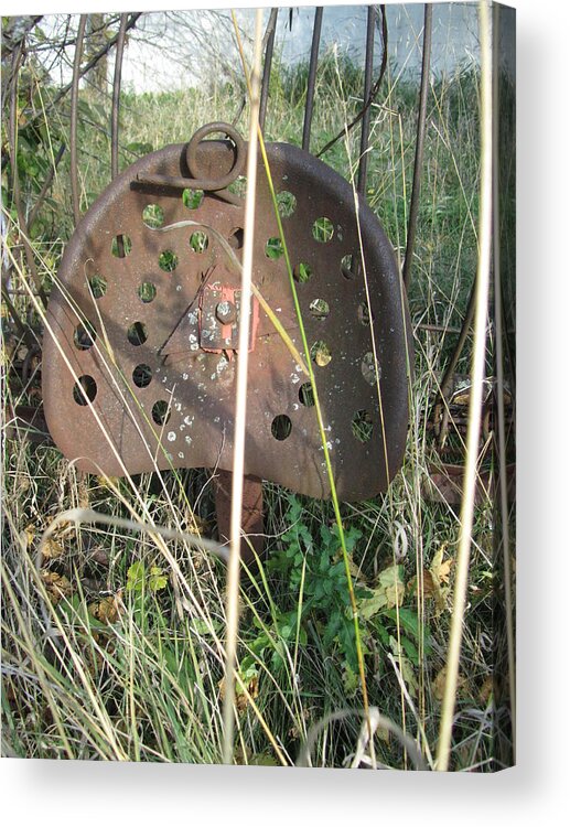 Old Farm Equipment Acrylic Print featuring the photograph The reaper by Todd Sherlock