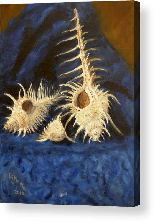 Realism Acrylic Print featuring the painting Three Murex Shells by Donelli DiMaria