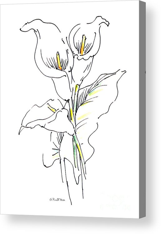 Lily Acrylic Print featuring the painting Watercolor Flower Paintings Lily-1 by Gordon Punt