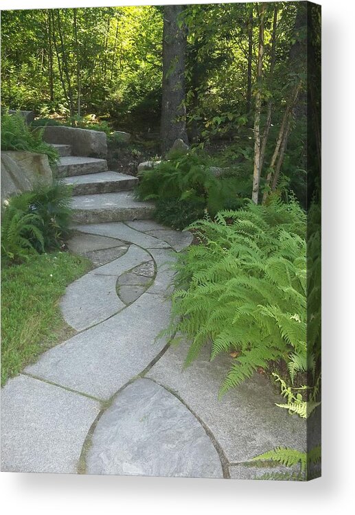 Path Acrylic Print featuring the photograph When Paths Intertwine by Melissa McCrann