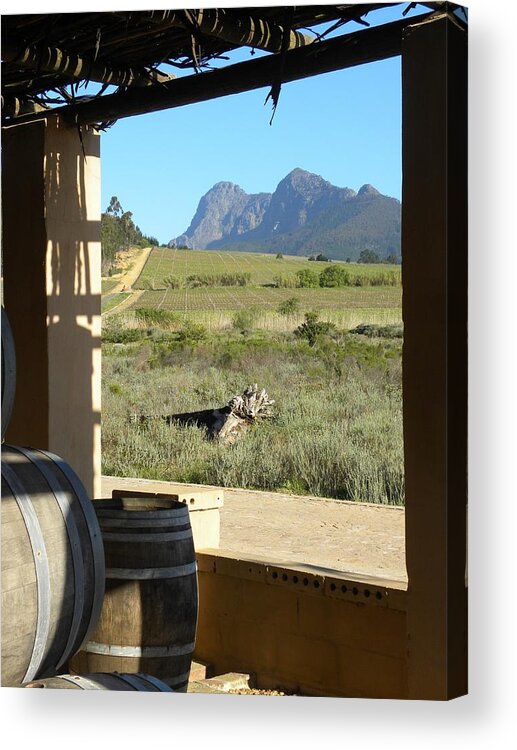 Barrel Acrylic Print featuring the photograph Wine country by Peggy McDonald