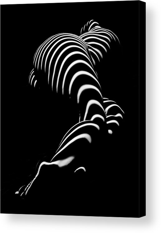 Art Acrylic Print featuring the photograph 0774-AR Zebra Striped Figure of a Large Woman Fine Art Photograph by Chris Maher by Chris Maher