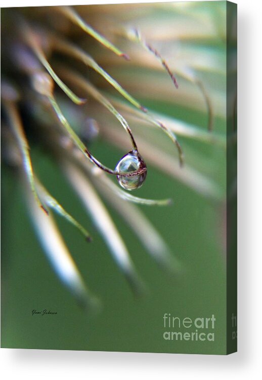 Raindrops Acrylic Print featuring the photograph Magic ball #1 by Yumi Johnson