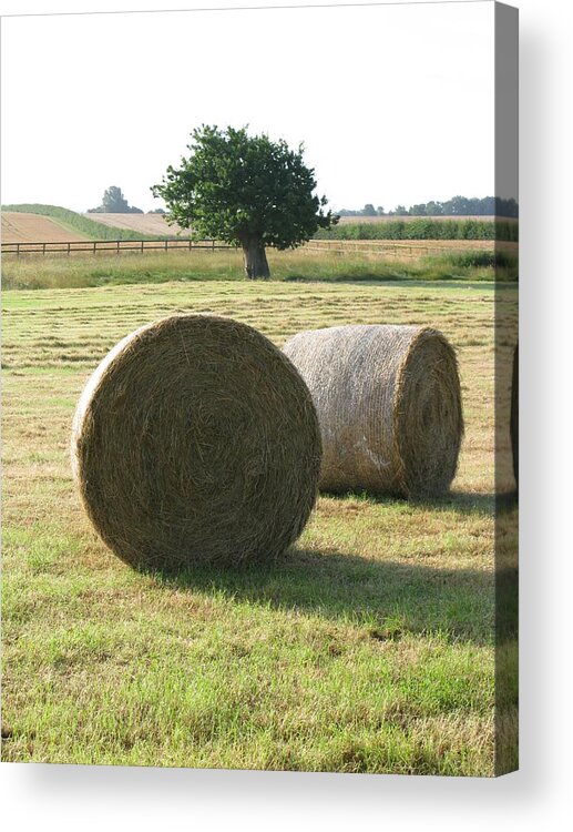Haybales Acrylic Print featuring the photograph Summer #1 by Maria Joy