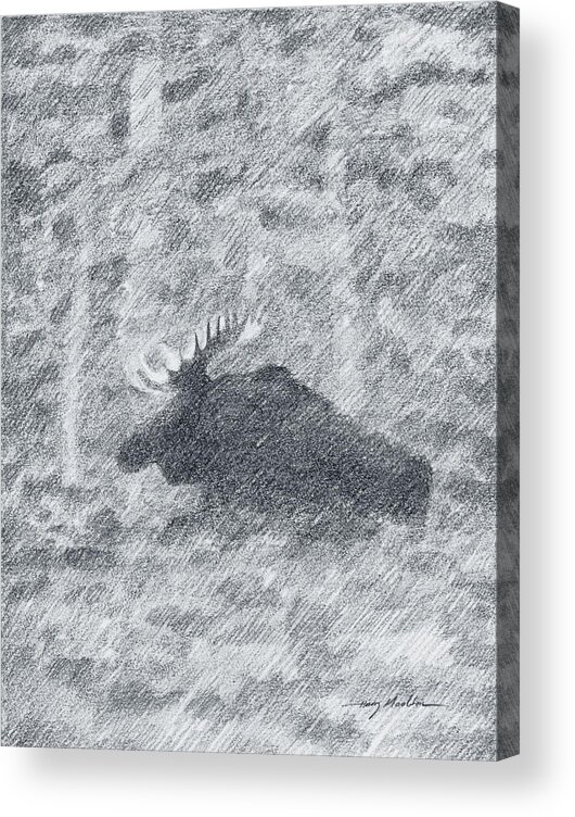 Animal Acrylic Print featuring the drawing 1000 Pounds of Bull by Harry Moulton