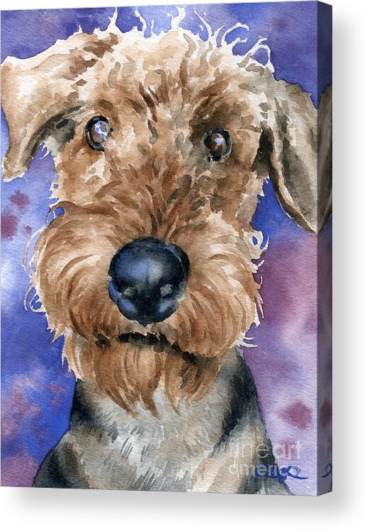 Airedale Acrylic Print featuring the painting Airedale Terrier #2 by David Rogers
