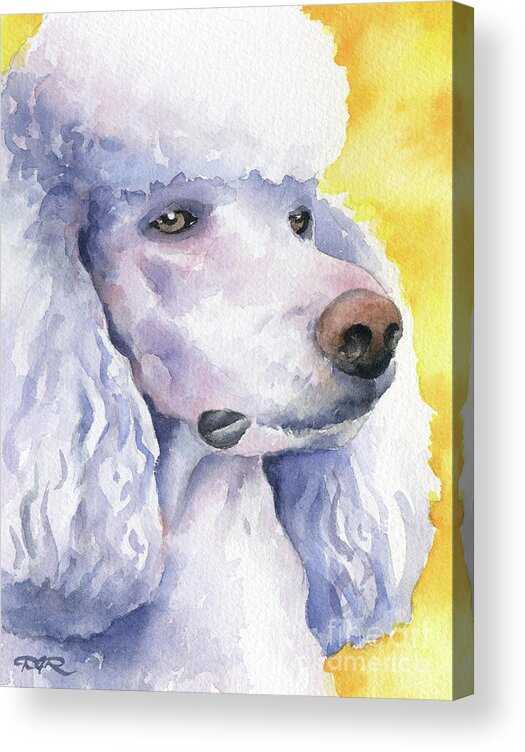Poodle Acrylic Print featuring the painting Poodle #1 by David Rogers