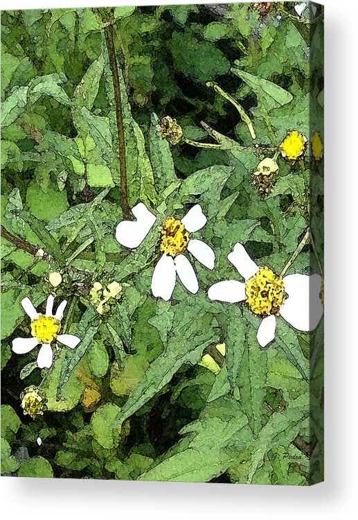 Wild Acrylic Print featuring the painting Wild Flowers by George Pedro