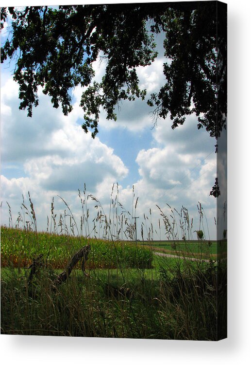 Country Scene Acrylic Print featuring the photograph A Beautiful Day by Joanne Coyle