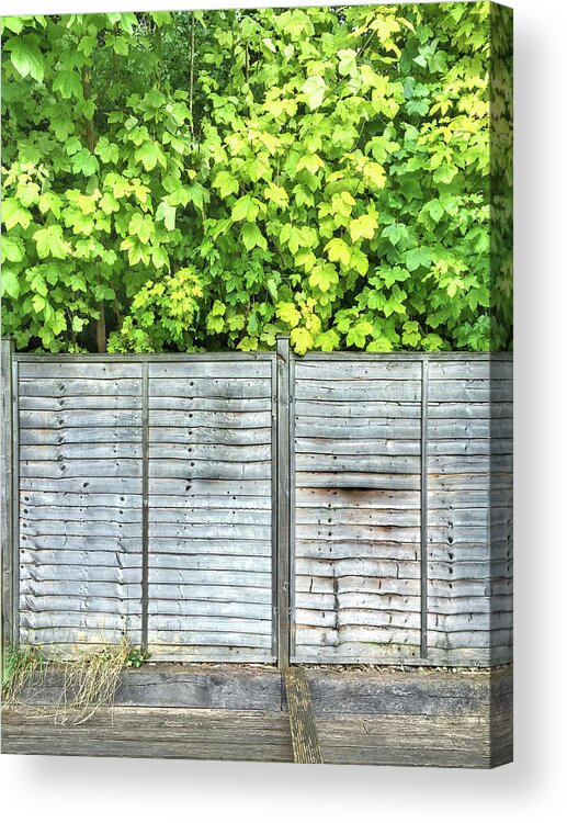 Agriculture Acrylic Print featuring the photograph A garden fence by Tom Gowanlock