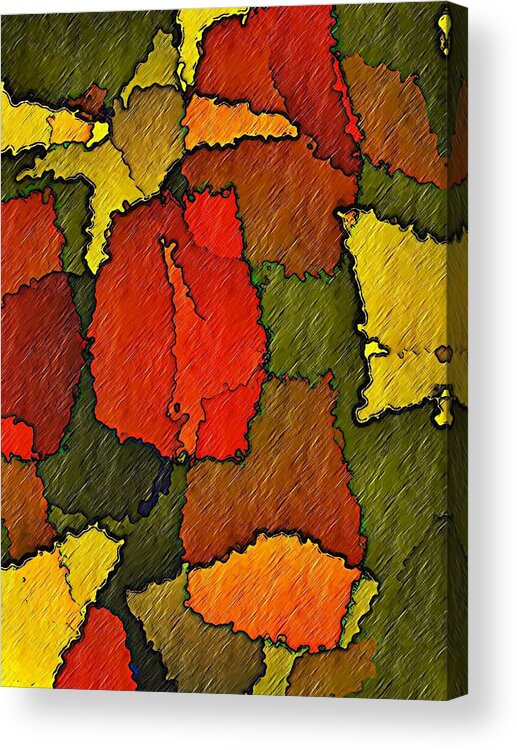 Abstract Acrylic Print featuring the digital art Abstract Bloom by Terry Mulligan