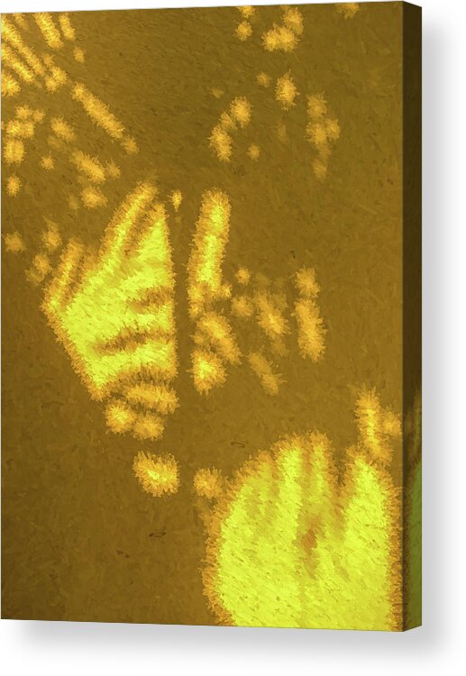 David Letts Acrylic Print featuring the photograph Abstract Palm by David Letts