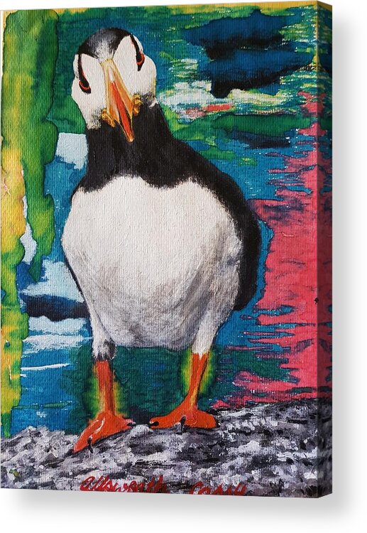 Birds Acrylic Print featuring the painting Ace  Puffin Huff by Cassy Allsworth