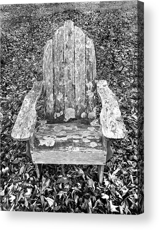 Old Acrylic Print featuring the photograph Adirondack in the Leaves by David T Wilkinson