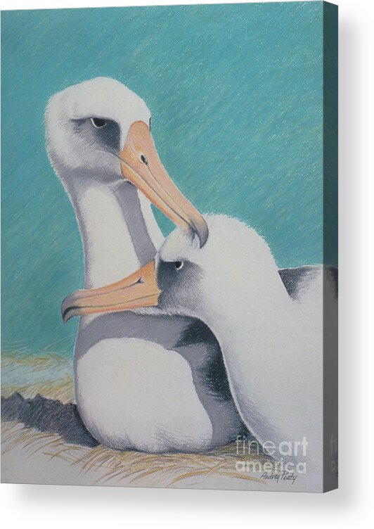Albatros Acrylic Print featuring the pastel Albatros Love by Audrey Peaty