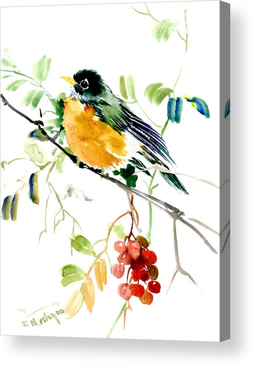Robin Acrylic Print featuring the painting American Robin by Suren Nersisyan