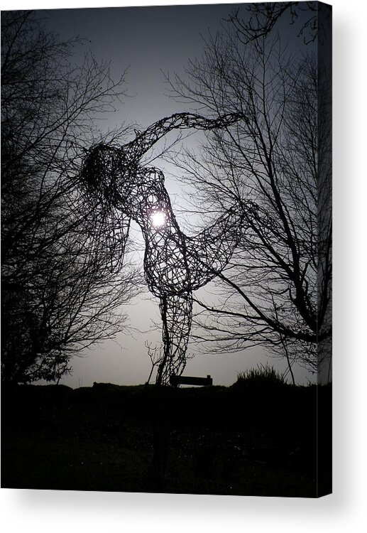 Wire Acrylic Print featuring the photograph An Eclipse of the Heart? by Richard Brookes