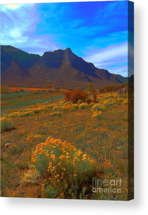 Another View In Unaweep Canyon Acrylic Print featuring the digital art Another view in Unaweep by Annie Gibbons