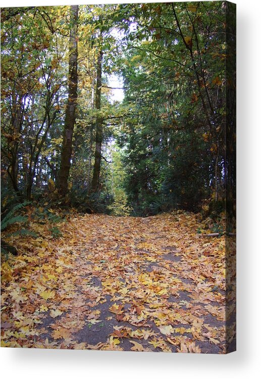 Leaves Acrylic Print featuring the photograph Autumn Carpet by Ruth Stromswold