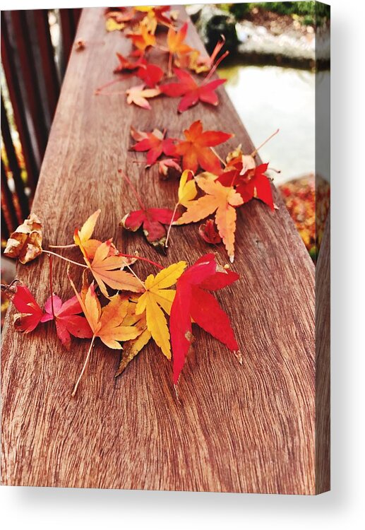 Autumn Acrylic Print featuring the photograph Autumn Gathering by Brad Hodges