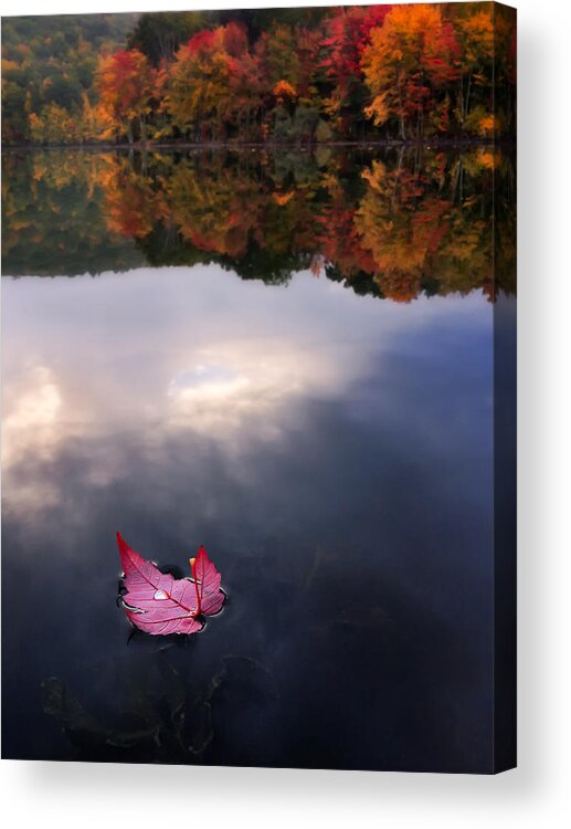 Leaf Acrylic Print featuring the photograph Autumn Mornings IV by Craig Szymanski