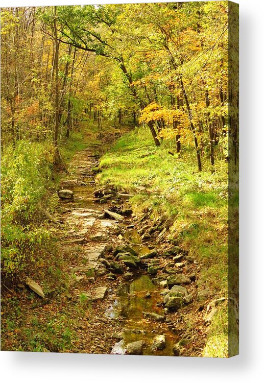 Creek Acrylic Print featuring the photograph Autumn Pathways by Lori Frisch