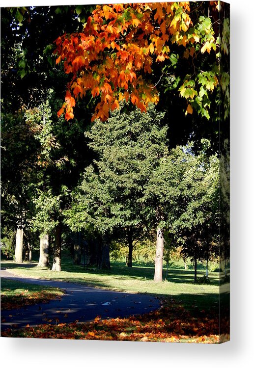 Autumn Acrylic Print featuring the photograph Autumn Sneaks In by Wild Thing