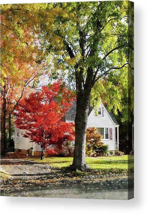 Suburban Acrylic Print featuring the photograph Autumn Street With Red Tree by Susan Savad