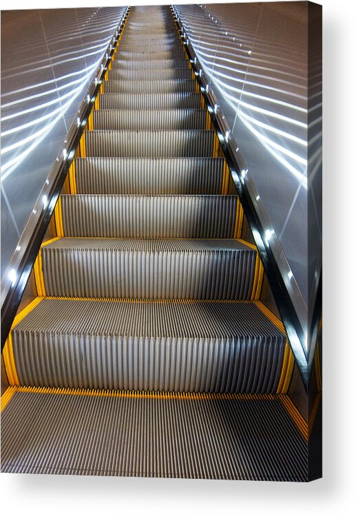 Airport Acrylic Print featuring the photograph Beauty is Where You Find It by Mary Lee Dereske