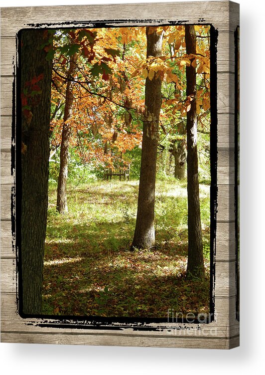Ann Arbor Acrylic Print featuring the photograph Bench In The Woods by Phil Perkins