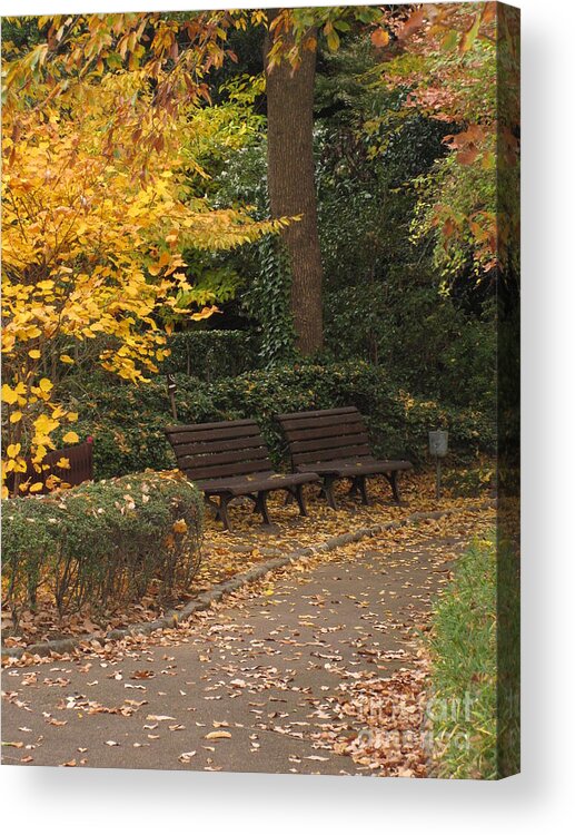Bench Acrylic Print featuring the photograph Benches in the Park by Eena Bo