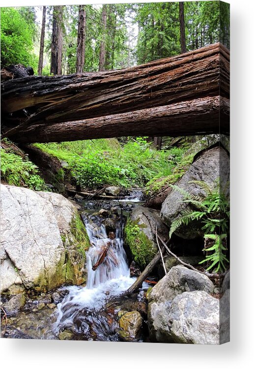 Big Sur Acrylic Print featuring the photograph Big Sur Creek by Connor Beekman