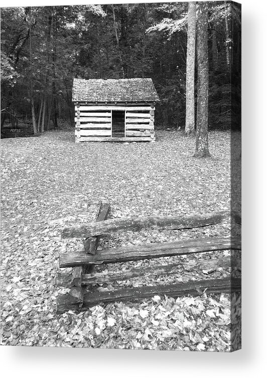 Cades Cove Acrylic Print featuring the photograph Black And White Cabin by Phil Perkins
