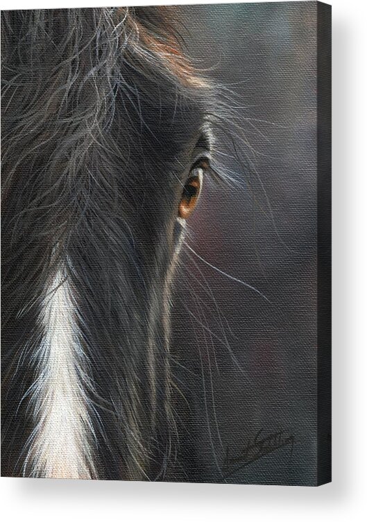 Horse Acrylic Print featuring the painting Black Beauty by David Stribbling
