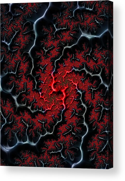 Veins Acrylic Print featuring the digital art Black veins red blood abstract fractal art by Matthias Hauser