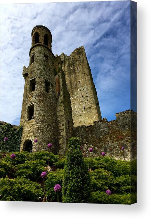 Ireland Acrylic Print featuring the photograph Blarney castle by Sue Morris