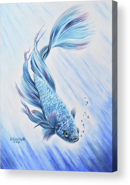Fish Acrylic Print featuring the mixed media Blue Betta by Elizabeth Cox