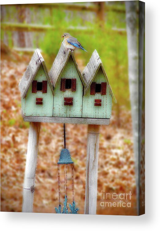 Blue Bird Acrylic Print featuring the photograph Blue Birds Castle by Laura Brightwood