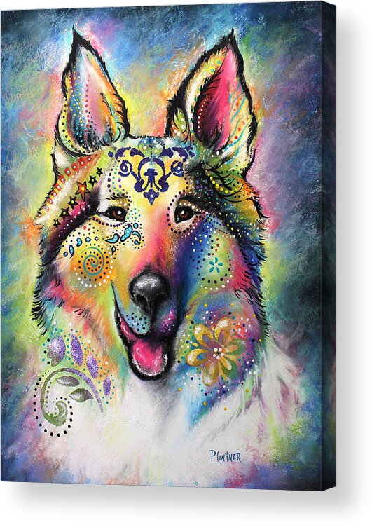 Boho Collie Acrylic Print featuring the pastel Collie by Patricia Lintner