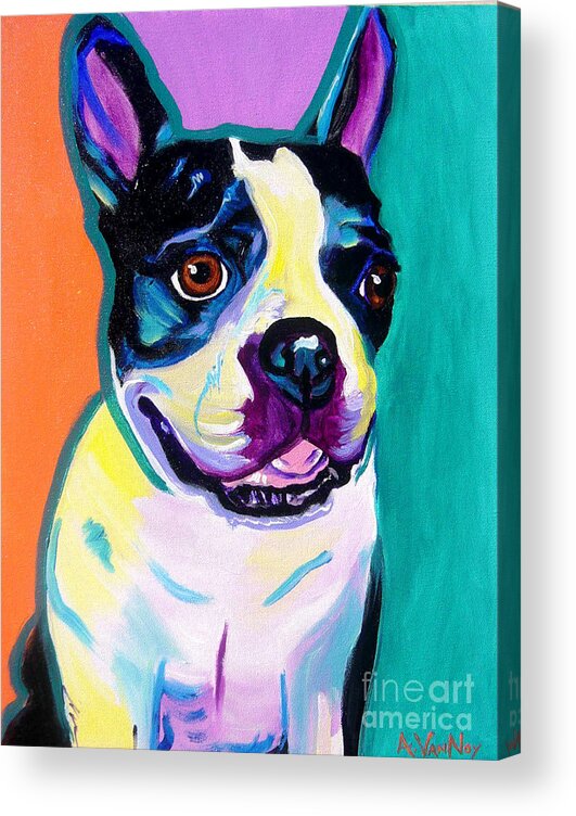 Boston Acrylic Print featuring the painting Boston Terrier - Jack Boston by Dawg Painter